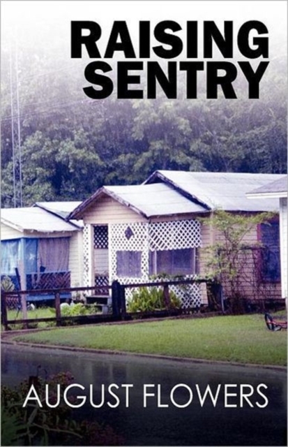 Raising Sentry, Paperback / softback Book