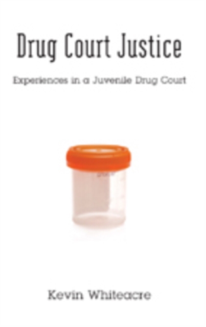 Drug Court Justice : Experiences in a Juvenile Drug Court, Paperback / softback Book