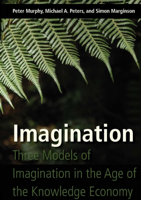 Imagination : Three Models of Imagination in the Age of the Knowledge Economy, Hardback Book