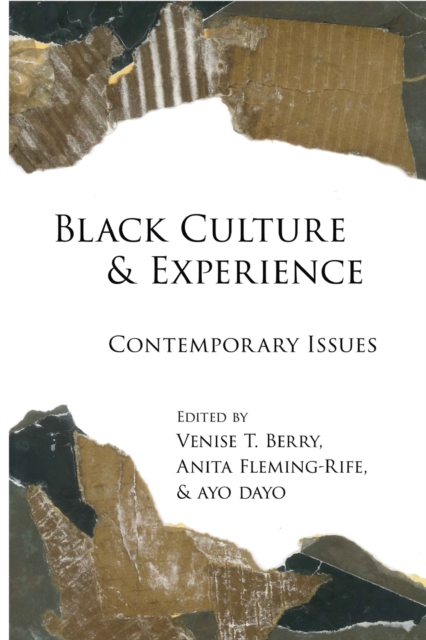Black Culture and Experience : Contemporary Issues, Paperback / softback Book