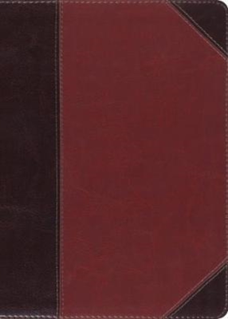 ESV MacArthur Study Bible, Leather / fine binding Book