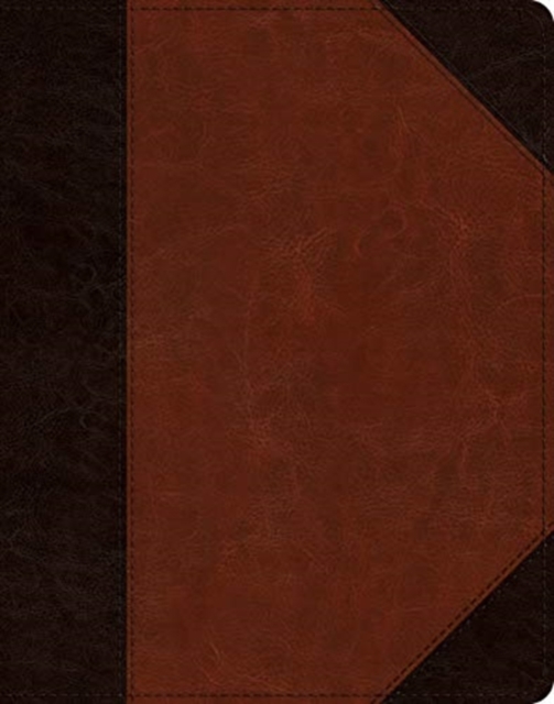 ESV Single Column Journaling Bible, Leather / fine binding Book