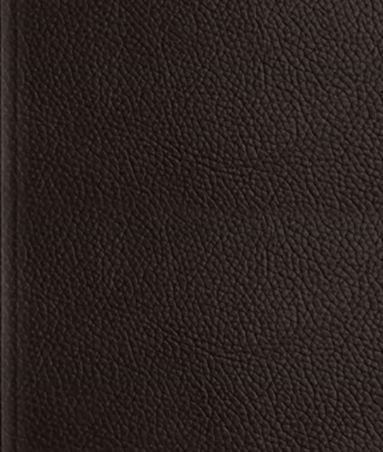 ESV Journaling Bible, Leather / fine binding Book