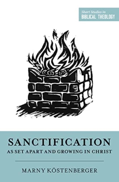 Sanctification as Set Apart and Growing in Christ, Paperback / softback Book