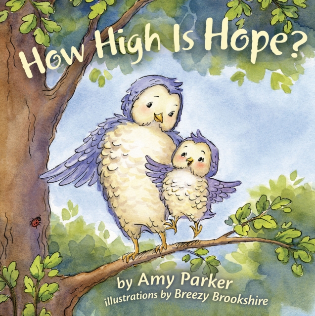 How High Is Hope?, EPUB eBook