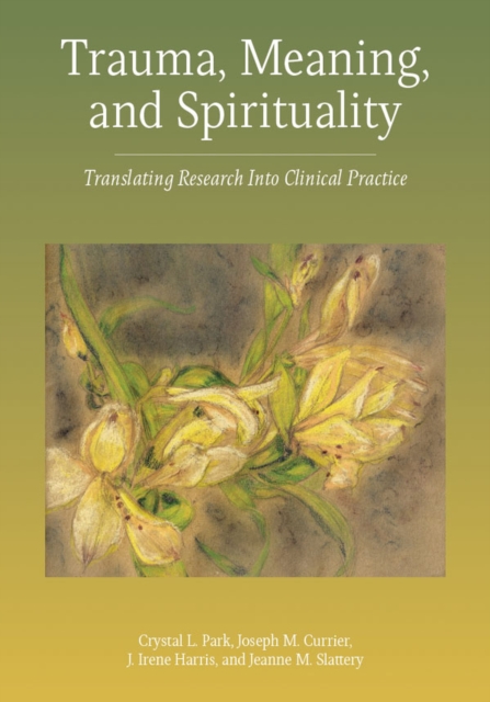 Trauma, Meaning, and Spirituality : Translating Research Into Clinical Practice, Hardback Book