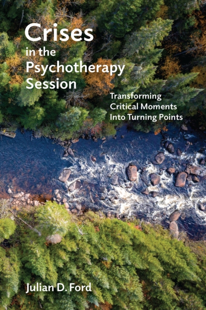 Crises in the Psychotherapy Session : Transforming Critical Moments Into Turning Points, Paperback / softback Book