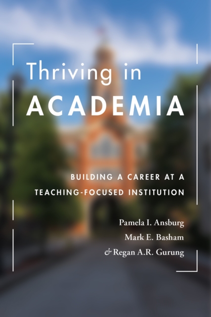 Thriving in Academia : Building a Career at a Teaching-Focused Institution, Paperback / softback Book