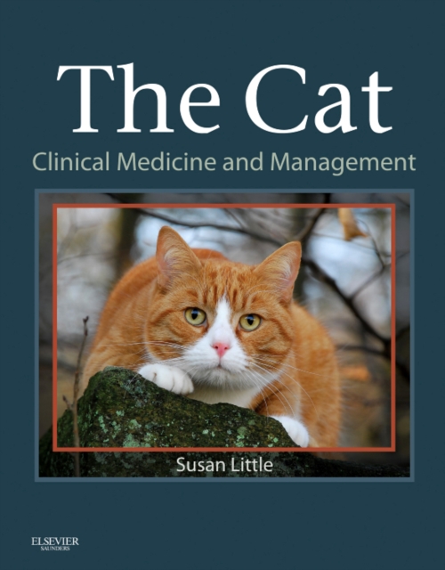 The Cat : Clinical Medicine and Management, Hardback Book