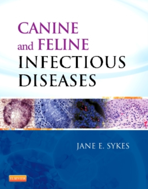 Canine and Feline Infectious Diseases, Hardback Book