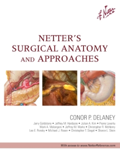 Netter's Surgical Anatomy and Approaches, Hardback Book
