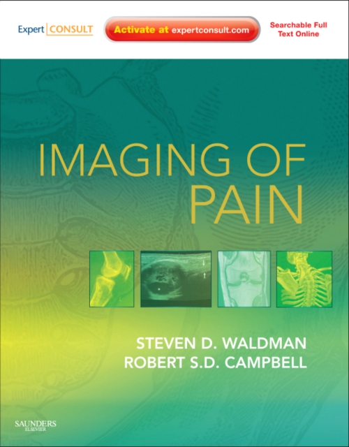 Imaging of Pain, Mixed media product Book