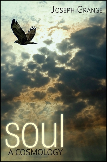 Soul : A Cosmology, EPUB eBook