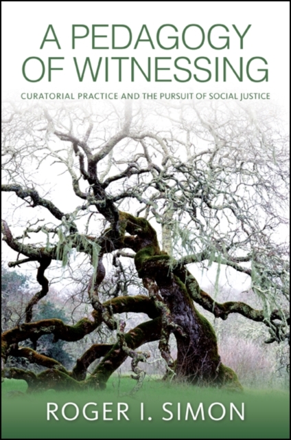 A Pedagogy of Witnessing : Curatorial Practice and the Pursuit of Social Justice, EPUB eBook