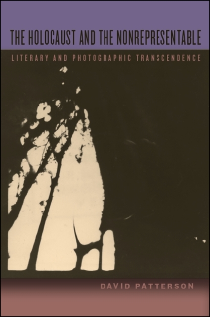 The Holocaust and the Nonrepresentable : Literary and Photographic Transcendence, EPUB eBook