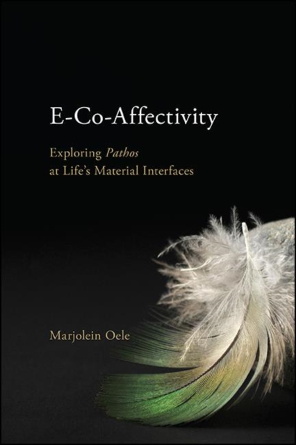 E-Co-Affectivity : Exploring Pathos at Life's Material Interfaces, EPUB eBook