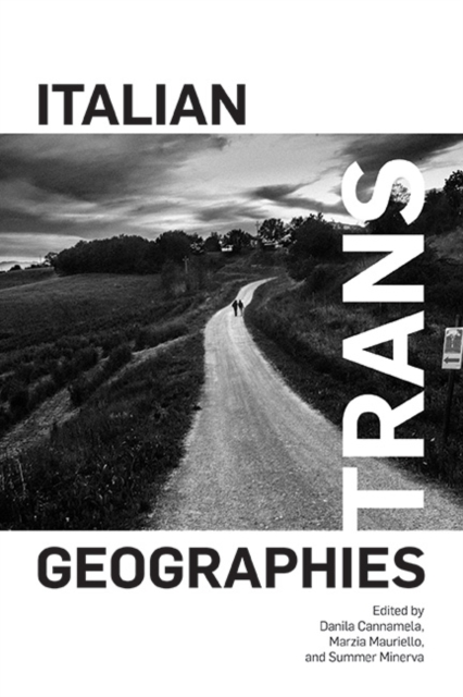 Italian Trans Geographies, EPUB eBook