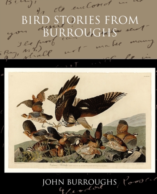 Bird Stories from Burroughs, Paperback / softback Book
