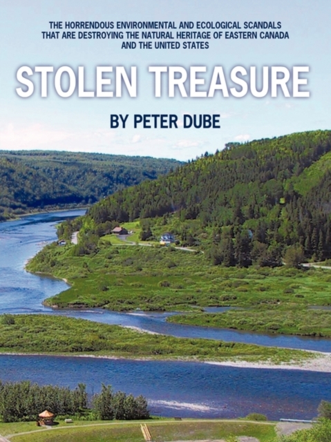 Stolen Treasure : The Horrendous Environmental and Ecological Scandals That are Destroying the Natural Heritage of Eastern Canada and the United States, Paperback / softback Book
