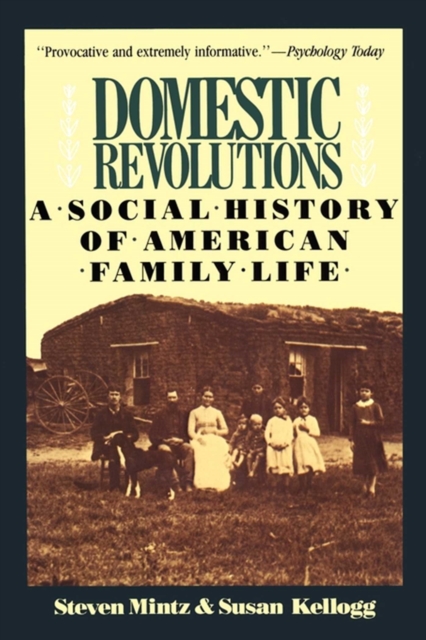 Domestic Revolutions : A Social History Of American Family Life, EPUB eBook