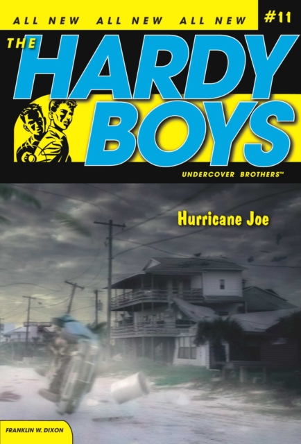 Hurricane Joe, EPUB eBook