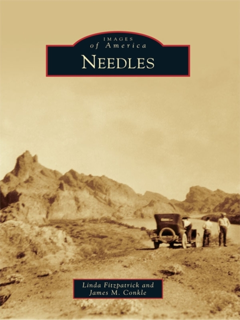 Needles, EPUB eBook