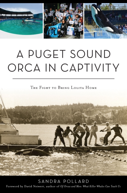 A Puget Sound Orca in Captivity : The Fight To Bring Lolita Home, EPUB eBook