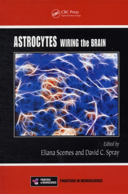 Astrocytes : Wiring the Brain, PDF eBook