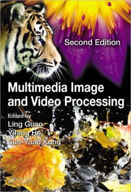 Multimedia Image and Video Processing, Hardback Book