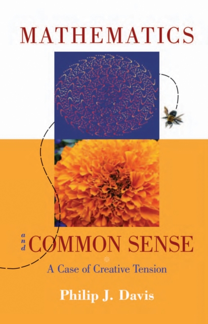 Mathematics & Common Sense : A Case of Creative Tension, PDF eBook