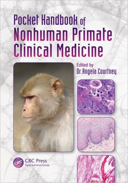 Pocket Handbook of Nonhuman Primate Clinical Medicine, Paperback / softback Book