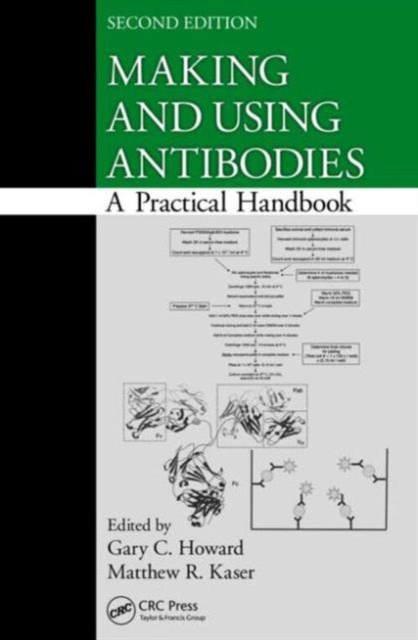 Making and Using Antibodies : A Practical Handbook, Second Edition, Paperback / softback Book