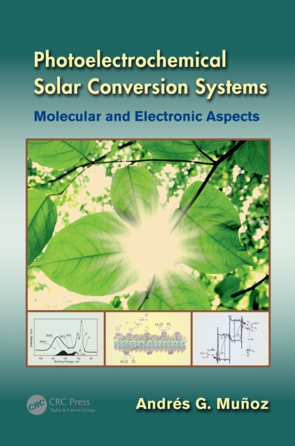 Photoelectrochemical Solar Conversion Systems : Molecular and Electronic Aspects, PDF eBook