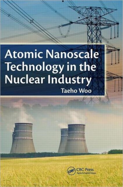 Atomic Nanoscale Technology in the Nuclear Industry, Hardback Book