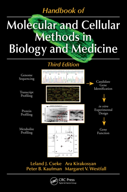 Handbook of Molecular and Cellular Methods in Biology and Medicine, PDF eBook