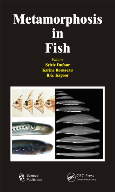 Metamorphosis in Fish, PDF eBook