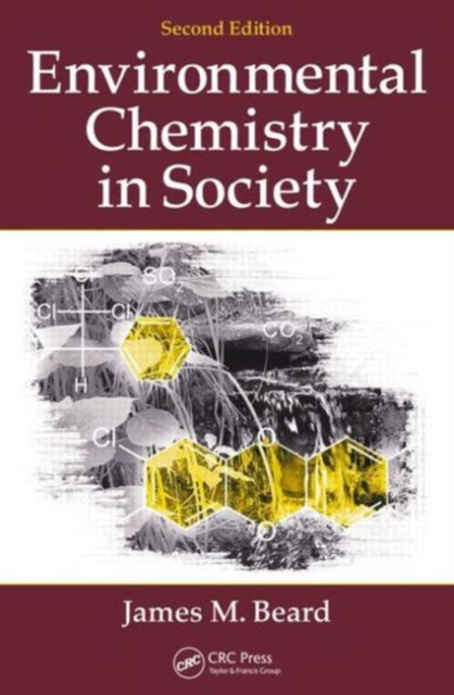 Environmental Chemistry in Society, Paperback / softback Book