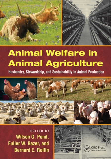 Animal Welfare in Animal Agriculture : Husbandry, Stewardship, and Sustainability in Animal Production, PDF eBook