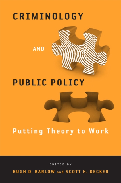 Criminology and Public Policy : Putting Theory to Work, Paperback / softback Book