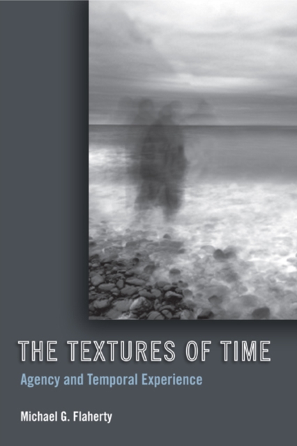 The Textures of Time : Agency and Temporal Experience, Hardback Book