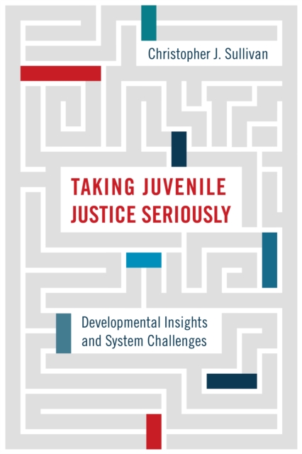 Taking Juvenile Justice Seriously : Developmental Insights and System Challenges, Paperback / softback Book