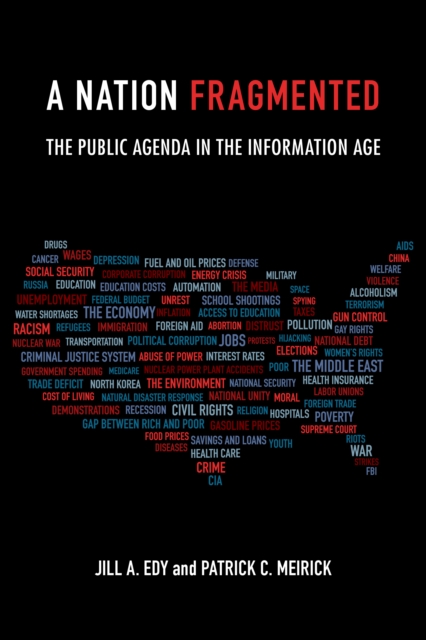 A Nation Fragmented : The Public Agenda in the Information Age, Paperback / softback Book