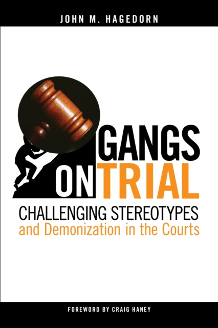 Gangs on Trial : Challenging Stereotypes and Demonization in the Courts, Paperback / softback Book