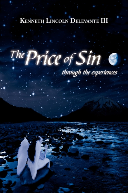 The Price of Sin : Through the Experiences, Paperback / softback Book