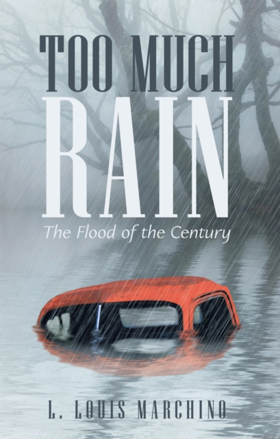 Too Much Rain : The Flood of the Century, EPUB eBook