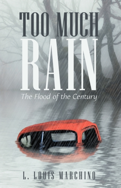 Too Much Rain : The Flood of the Century, Hardback Book
