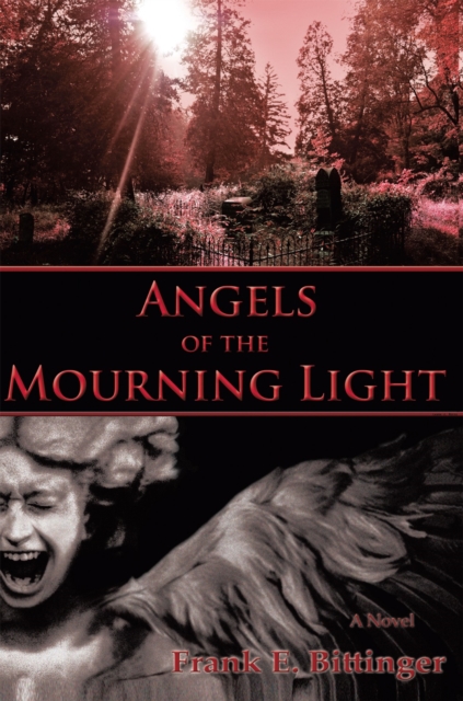 Angels of the Mourning Light, EPUB eBook