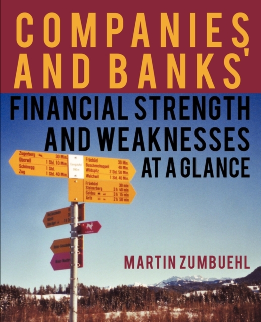 Companies and Banks' Financial Strength and Weaknesses at a Glance, Paperback / softback Book