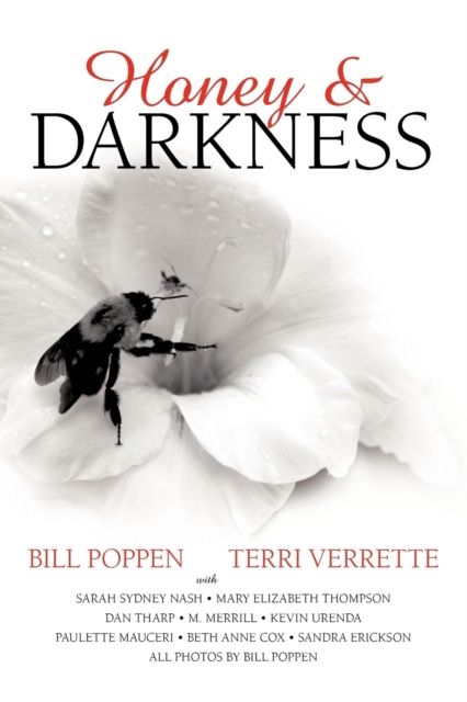 Honey and Darkness, Paperback / softback Book