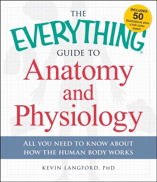 The Everything Guide to Anatomy and Physiology : All You Need to Know about How the Human Body Works, EPUB eBook